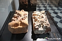 VBS_4150 - Mostra Il Rinascimento in Piemonte - Castello della Rovere - Vinovo 